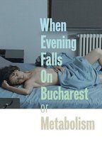 When Evening Falls on Bucharest or Metabolism Breasts Bush 96304
