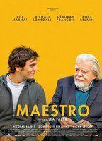 Maestro 96582