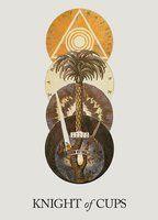 Knight of Cups Bikini Breasts 107327