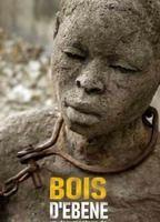Bois d'ébène Breasts 127310