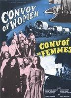 Convoy of Women Breasts Bush 108045