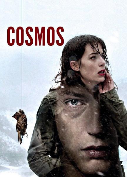 Cosmos Breasts Bush 108445