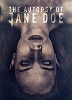 The Autopsy of Jane Doe Breasts Merkin 108605