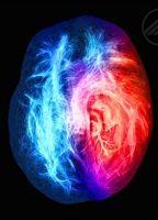 Brain on Fire Sexy Underwear 108646