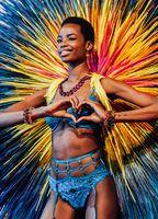 The Victoria's Secret Fashion Show 2016 Sexy Underwear 109115