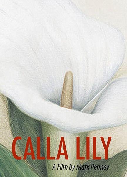 Calla Lily Breasts Butt 111441