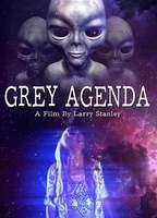 Grey Agenda Underwear 112283