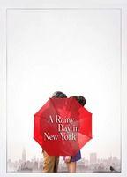 A Rainy Day in New York Underwear 119439