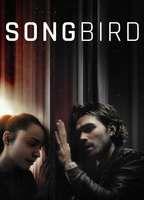 Songbird Sexy Thong 124070