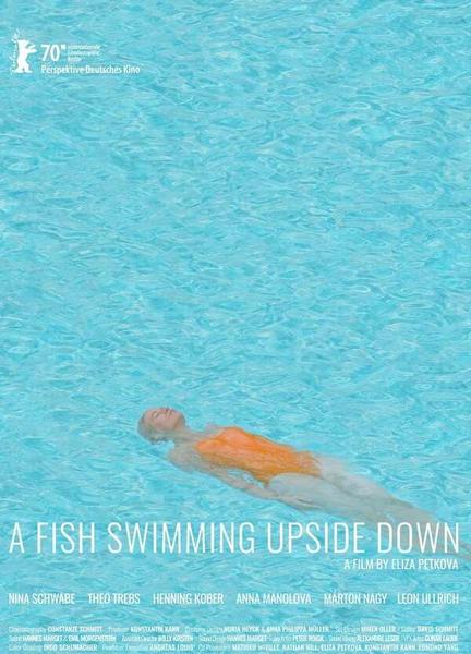 A Fish Swimming Upside Down Breasts Bush 132211