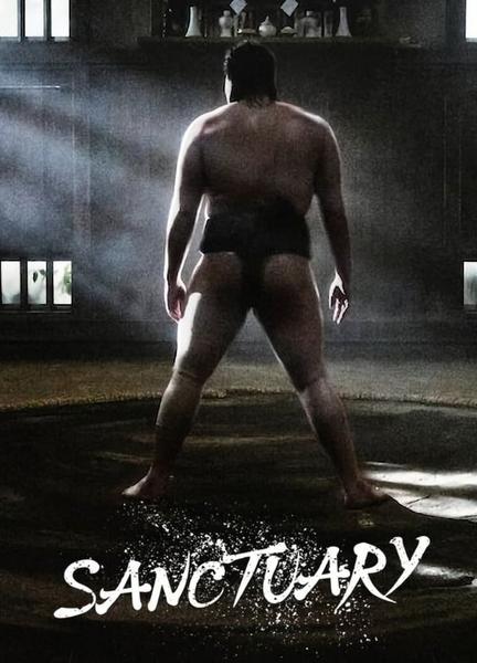 Sanctuary Sexy Underwear 132485