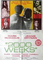 Two Thousand Weeks Bikini Breasts 133279