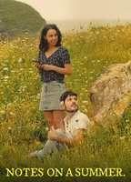 Notes on a Summer Bikini Breasts 133505