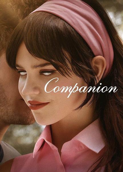 Companion Sexy Underwear 134309