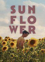 Sunflower Underwear 134498