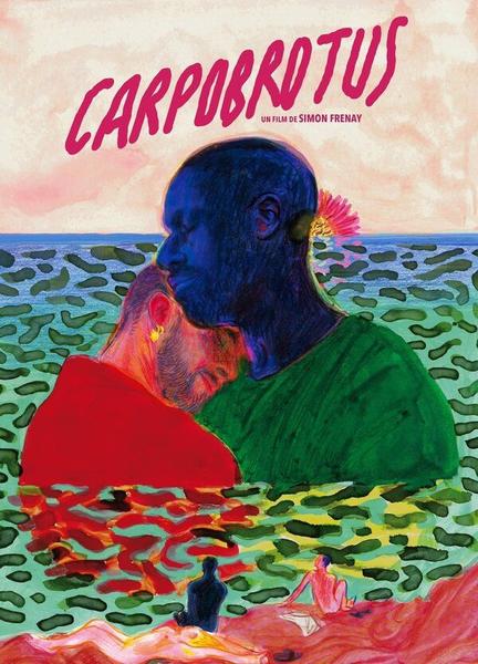 Carpobrotus Breasts Bush 134727