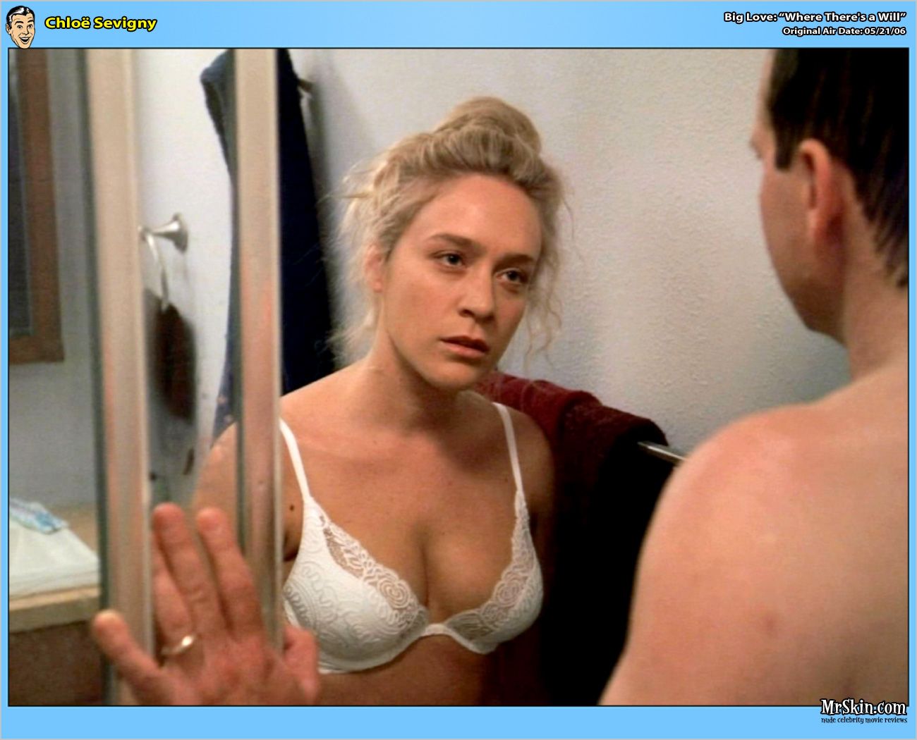 Chlo Sevigny (nominated for Big Love)