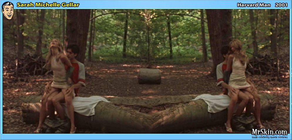 Sarah Michelle Gellar in Harvard Man (2001)