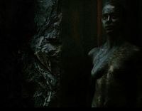 Isabel Lucas in Immortals