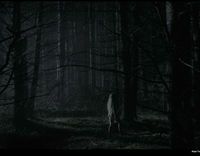 Anya Taylor-Joy in The Witch